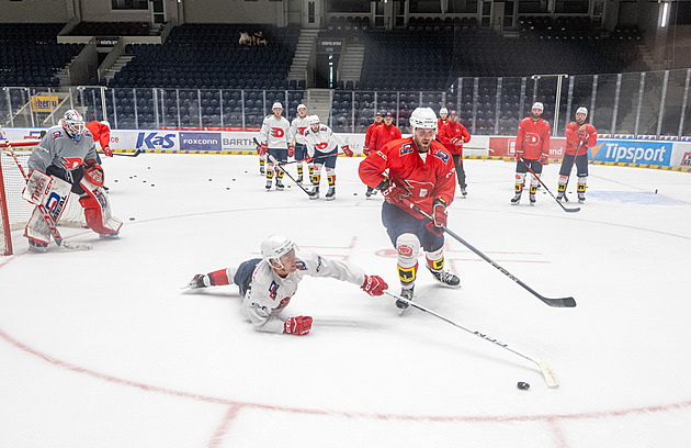 Jen třináct zdravých. Hokejisté Pardubic kvůli viróze nenastoupí k duelu s Bernem