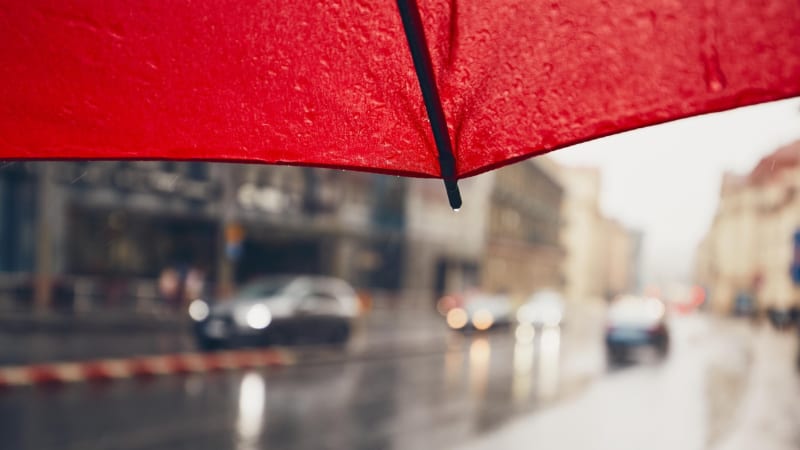 Sledujte RADAR: V půlce Česka má o víkendu pršet, kde hrozí bouřky a průtrž mračen?