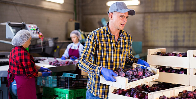 Místo oceli sklad potravin. Nové haly v Kladně nabídnou tisíce pracovních míst