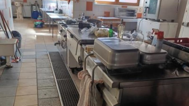Mrtví hlodavci, trus i plíseň v českých restauracích. Podívejte se, které musely dočasně zavřít