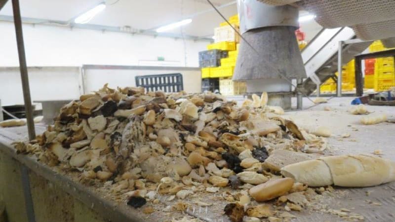 Mrtvé myši mezi pečivem i plísně na stěnách. Inspekce uzavřela Rašnerovu pekárnu ve Vyškově