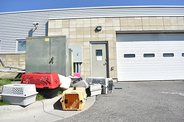 FBI pálila pervitin v kafilérii, čtrnáct zaměstnanců útulku se nadýchalo dýmu