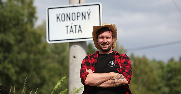 Pole s konopím kvůli zlodějům stěhujeme, kradou přitom zbytečně, líčí podnikatel