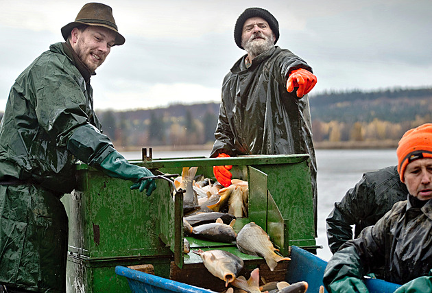 Podzim patří rybářům. Kde se konají největší výlovy rybníků