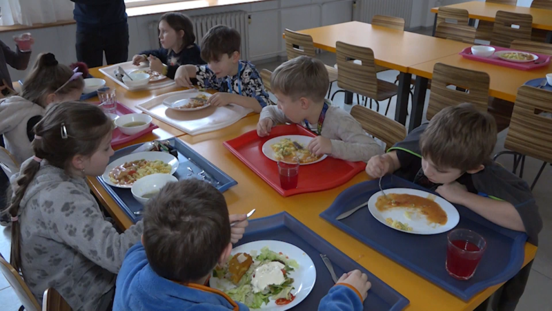 Reforma školních jídelen v ohrožení? Babiš chtěl „nesmysly“ zastavit, Havel věří v kompromis