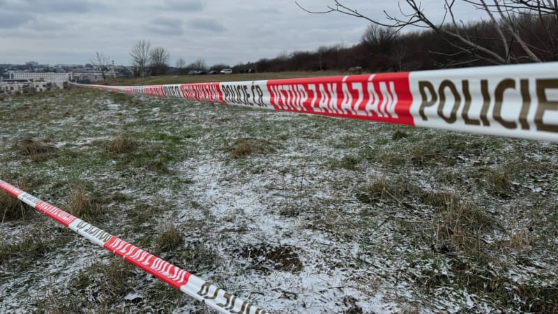 Nájemná vražda v pražském parku: Muž si měl objednat smrt rivala. Padly výjimečné tresty