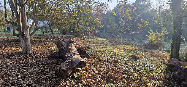Droždín opravil raritní lokalitu se vzácnými živočichy, nyní slouží k rekreaci