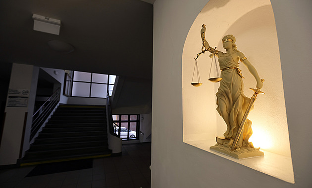 Udeřil plačícího syna do hlavy, řekl soud. Za vraždu kojence muži uložil 16 let