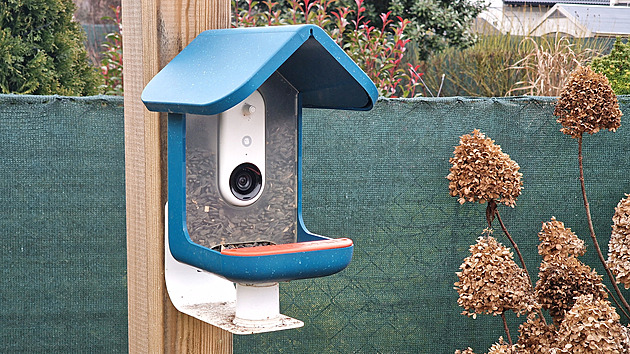 Krmítko s kamerou dá nahlédnout ptáčkům přímo do zobáčku. Skvělá podívaná