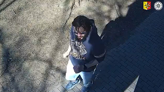 Srazil ho k zemi a bil do hlavy. Policie hledá útočníka i svědky