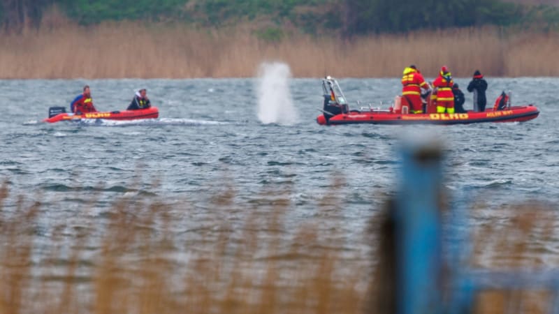 Záchrana Timmyho pokračuje: Uvázlou velrybu chtějí naložit na nákladní člun, zvíře je zesláblé