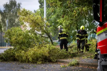 Českem prochází silné bouřky. Hlášeny jsou spadlé stromy i výpadky elektřiny